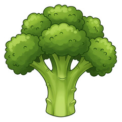 Fresh green broccoli florets and stem healthy food ingredient realistic rendering isolated on transparent background