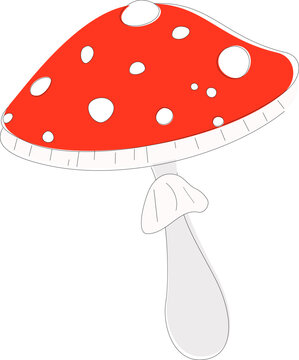  Fly agaric mushroom in cartoon style