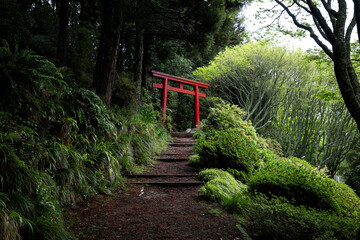 A red torii gate in the green park.
