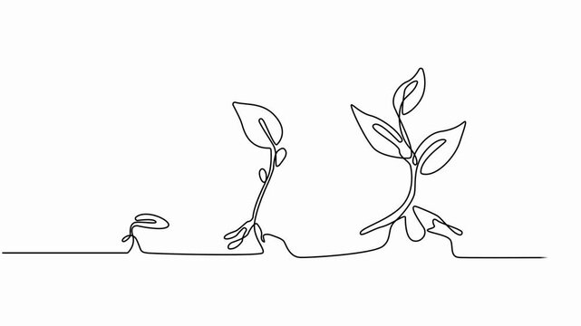 Hand-drawn steps of Growing from seeds Trees, simple design, art. Growth concept isolated on white background. Stepped sprout. full-length one-line animation video