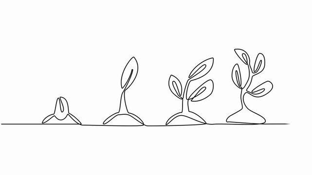 Hand-drawn steps of Growing from seeds Trees, simple design, art. Growth concept isolated on white background. Stepped sprout. full-length one-line animation video