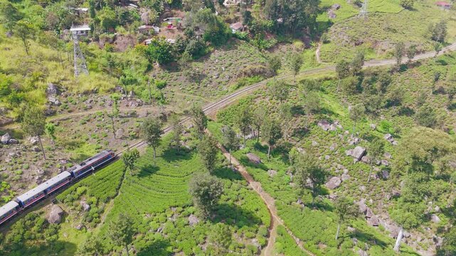 Aerial View of a Blue Passenger Train Winding Through Green Tea Plantations