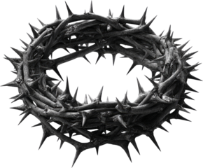 Intricate Crown of Thorns: A Representation of Sacrifice and Suffering