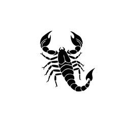 Minimalist Black and White Scorpion Silhouette Detailed Illustration Animal