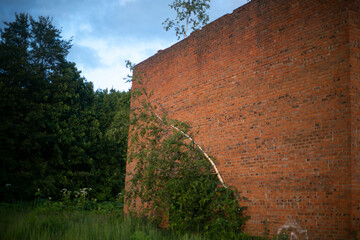 Abandoned red brick building. The building was overgrown with plants. Trees on the roof of an abandoned factory.