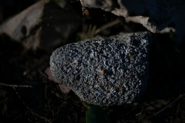 Stones in the forest. Stones lie on the ground. Details of nature.