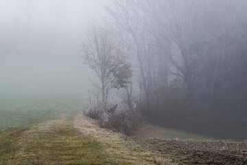 November Nebel Landschaften im Winter im bayerischen Wald, Deutschland