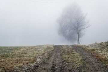 November Nebel Landschaften im Winter im bayerischen Wald, Deutschland