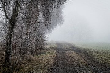 November Nebel Landschaften im Winter im bayerischen Wald, Deutschland