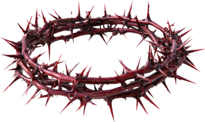 Intricately Designed Crown of Thorns Against a Dark Background