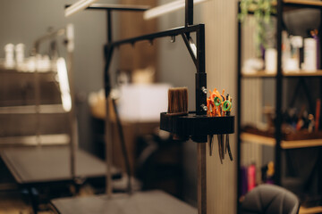 Pet grooming tools ready in professional salon
