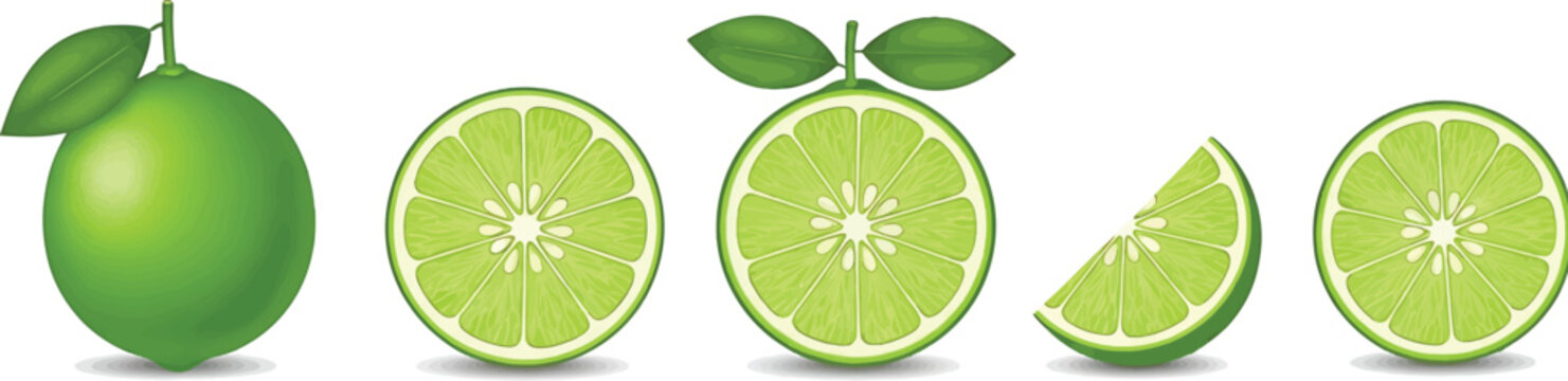 Fresh lime fruit and citrus slices on transparent backgroung set
