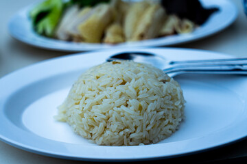 steamed rice topped with chicken