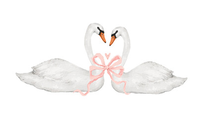 Fototapeta premium watercolor pair of swans with bow
