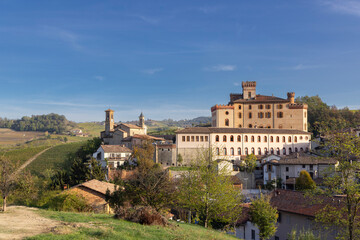 Barolo village with castle and vineyards in Piedmont