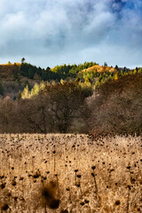 Autumn meadow with forested hills and dramatic sky
