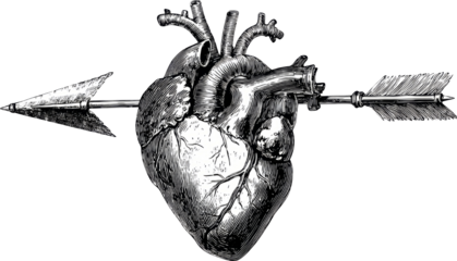Vintage Anatomical Heart Pierced by an Arrow: A Symbol of Love and Pain