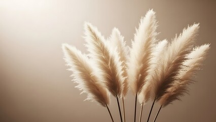 Naklejka premium A close-up view of pampas grass flowers in a minimalist setting, captured from a low angle