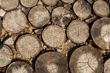 Abstract background. Wooden pavement made of round wooden beams. Cross-section of dark wood stumps. Top view of the cracked surface.