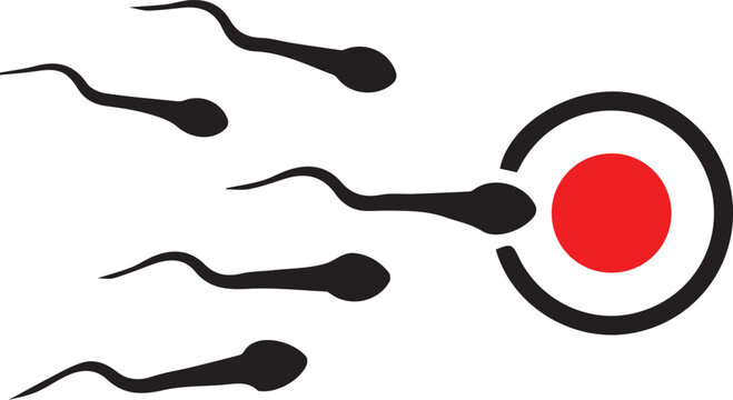 sperm cells swimming toward red egg cell illustration showing fertilization process and human reproduction conception biology diagram isolated on white background.
