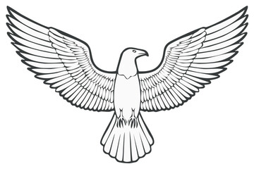 Obraz premium Elegant Vector Eagle Illustration with Open Wings in Detailed Outlines