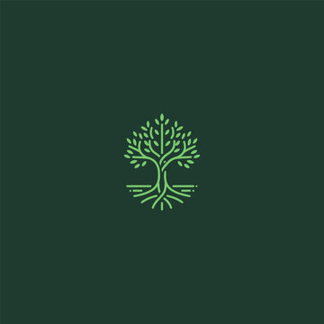 Mangrove line art logo symbolizing nature balance and coastal sustainability.