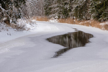 river in winter forest