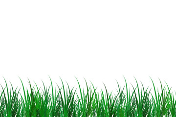 Fototapeta premium green grass isolated on white background