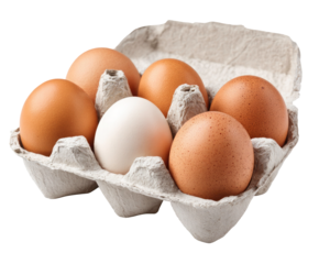 Six Brown Eggs and One White Egg in Open Carton Container Isolated on Transparent Background