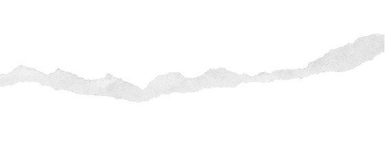 torn paper edges isolated on transparent background