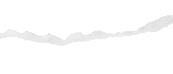 torn paper edges isolated on transparent background