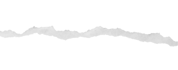 torn paper edges isolated on transparent background