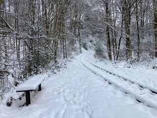 Landschaft mit Schnee im Wald mit Bahnschienen und Haltestelle mit Bank an Stra&szlig;enbahn
