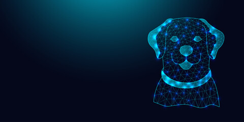 Low poly wireframe labrador retriever dog on dark blue background.
