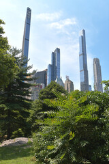 Fototapeta premium Central Park is the largest public park in the borough of Manhattan, New York. It is located in Uptown and is surrounded by the spectacular Manhattan skyline.