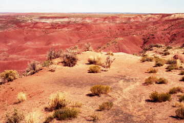Barren Hostile Landscape Painted Desert Northern Arizona