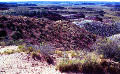 Barren Hostile Landscape Painted Desert Northern Arizona