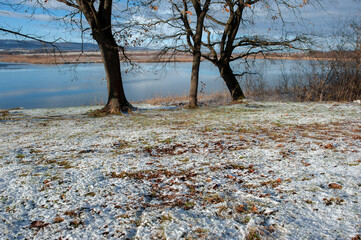 winter on the shore of a frozen lake on a sunny day