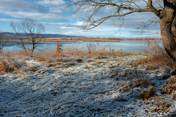 winter on the shore of a frozen lake on a sunny day