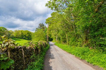 Fototapeta premium Paysage rural verdoyant du Lake District, route de campagne bordée de murets en pierre et forêts au printemps, Cumbria, Angleterre