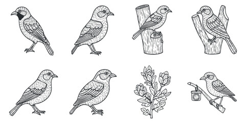 Naklejka premium A collection of hand-drawn birds perched on branches in detailed line art vector style, ideal for nature-themed designs and illustrations