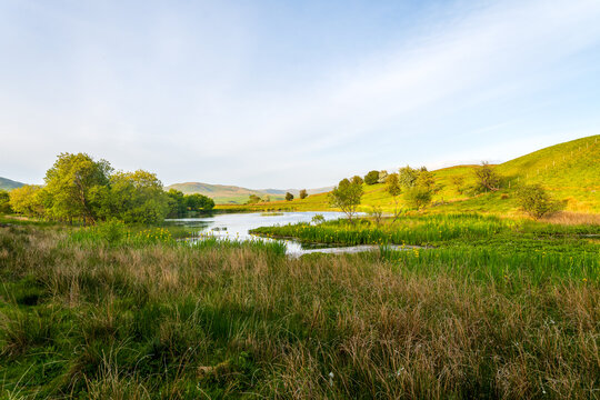 Paysage rural verdoyant autour de Patton pr&egrave;s de Kendal, collines et zones humides de la Cumbria au printemps, Angleterre