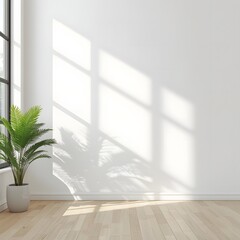 Fototapeta premium Minimal Interior Sunlight Frame