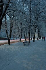 Winter evening in the city park. Cleared snowy road in the evening city park, footprints in the snow, warm light of lanterns. Time for cozy winter walks.