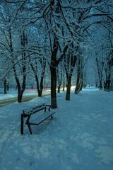 Winter evening in the city park. Cleared snowy road in the evening city park, footprints in the snow, warm light of lanterns. Time for cozy winter walks.