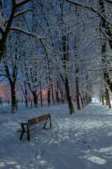 Winter evening in the city park. Cleared snowy road in the evening city park, footprints in the snow, warm light of lanterns. Time for cozy winter walks.