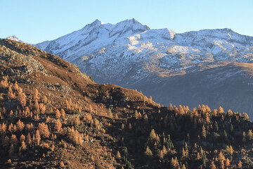 Herbst im Rhonetal; Blick zum Pizzo Gallina (Gotthardmassiv)