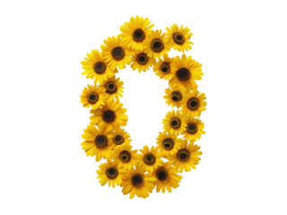 Yellow sunflowers arranged in a circular pattern nature floral