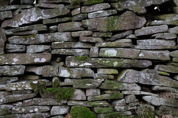 A wall made of stone with moss growing on it