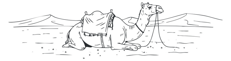 A camel resting in the desert landscape in black and white outline vector style, suitable for travel-themed designs